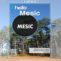 Image for Mesic