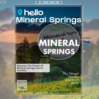 Image for Mineral Springs