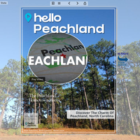 Image for Peachland