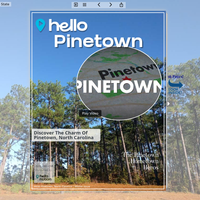 Image for Pinetown