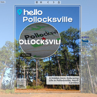 Image for Pollocksville