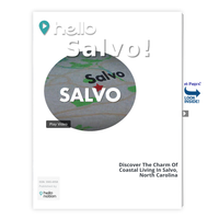 Image for Salvo