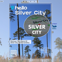 Image for Silver City