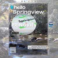 Image for Springview