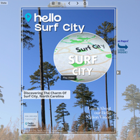 Image for Surf City