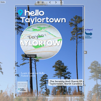 Image for Taylortown