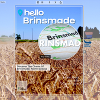 Image for Brinsmade