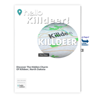 Image for Killdeer