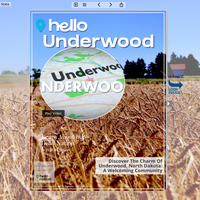 Image for Underwood