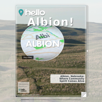 Image for Albion