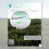 Image for Barneston