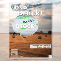 Image for Brock