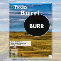 Image for Burr