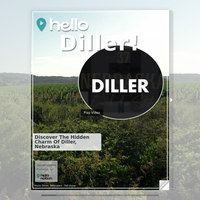 Image for Diller