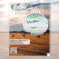 Image for Holbrook