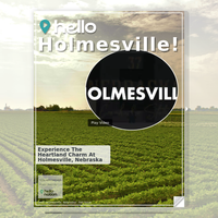 Image for Holmesville