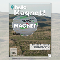 Image for Magnet