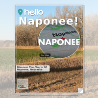 Image for Naponee