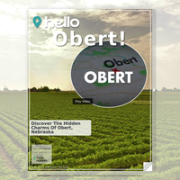 Image for Obert