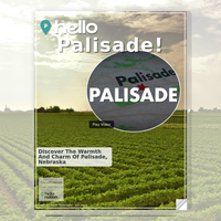 Image for Palisade