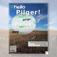 Image for Pilger