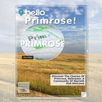 Image for Primrose