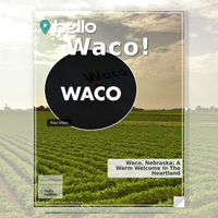 Image for Waco