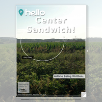 Image for Center Sandwich