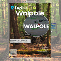 Image for Walpole