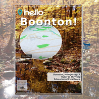 Image for Boonton