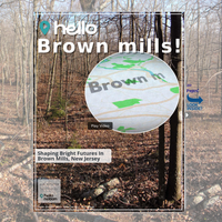 Image for Brown mills