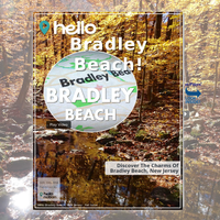 Image for Bradley Beach