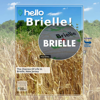 Image for Brielle