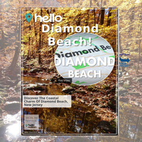 Image for Diamond Beach