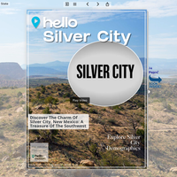 Image for Silver City