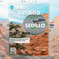 Image for Sedillo