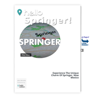 Image for Springer