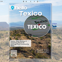 Image for Texico