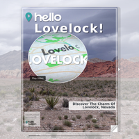 Image for Lovelock