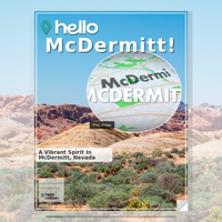 Image for McDermitt