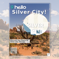 Image for Silver City