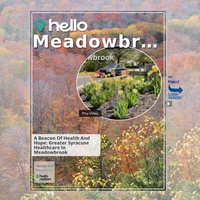 Image for Meadowbrook