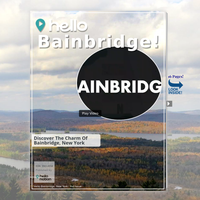 Image for Bainbridge