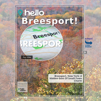 Image for Breesport