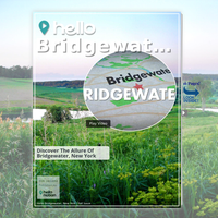 Image for Bridgewater