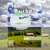 Image for Burke