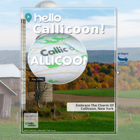 Image for Callicoon