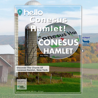 Image for Conesus Hamlet