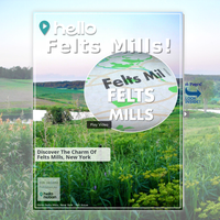 Image for Felts Mills