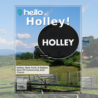 Image for Holley